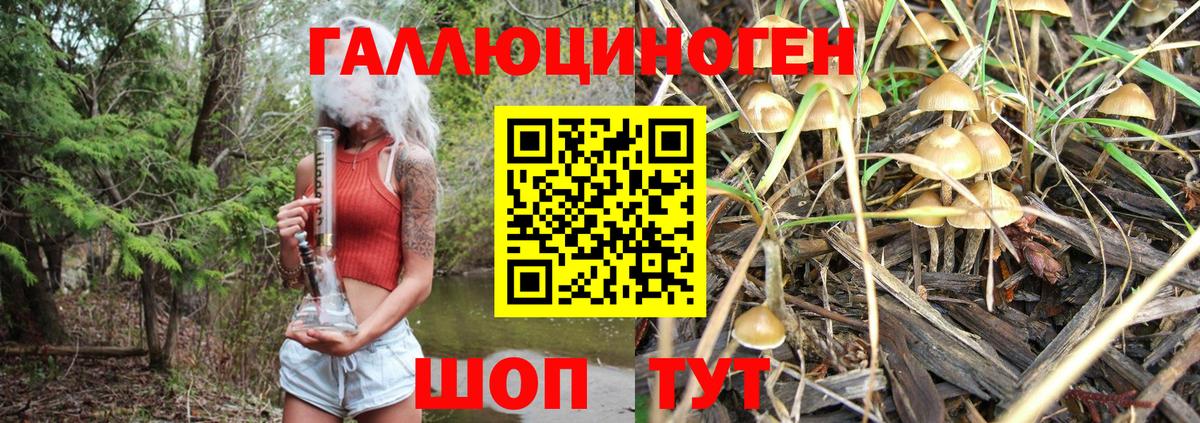 Галлюциногенные грибы MAGIC MUSHROOMS  Галлюциногенные грибы MAGIC MUSHROOMS  Вход с VPN  Курганинск 